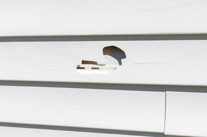 Professional Fix for Cracked Vinyl Siding